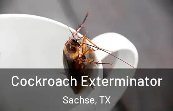  Cockroach Exterminator Sachse, TX