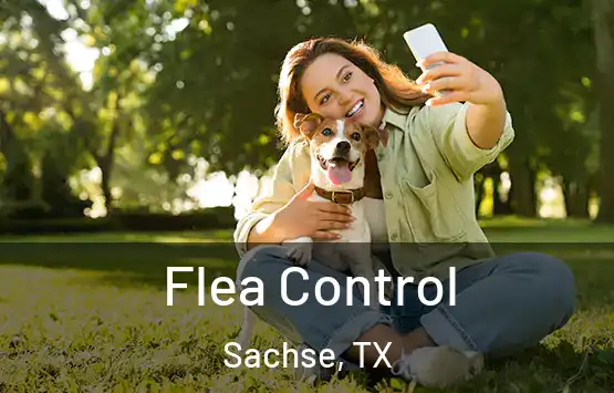  Flea Control Sachse, TX