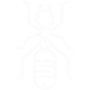 Carpenter Ants Pest Control Sachse, TX
