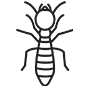 Termites Pest Control Sachse, Texas