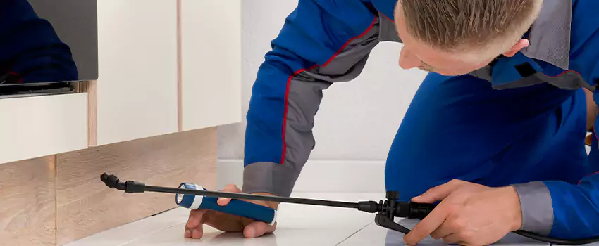 Commercial Pest Control for Offices in Sachse, TX