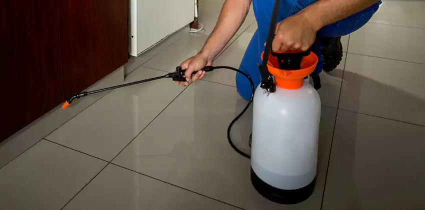 Commercial Pest Extermination for Offices in Sachse, TX