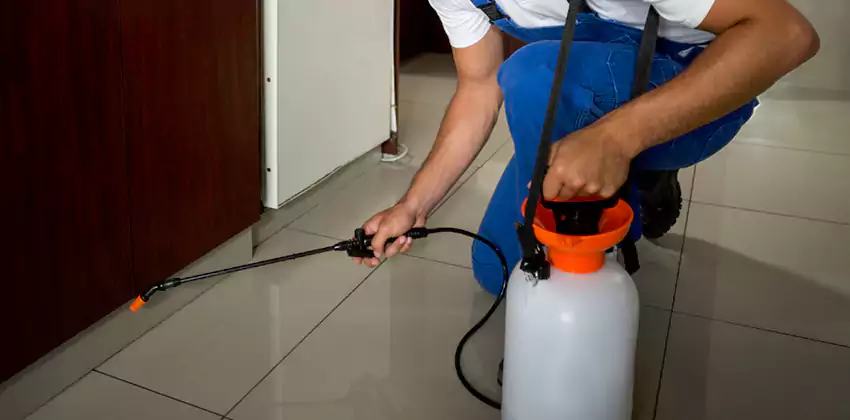 Commercial Flea Exterminator Company in Sachse, TX