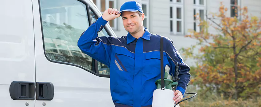 Organic and Chemical Spider Control Options Sachse, TX