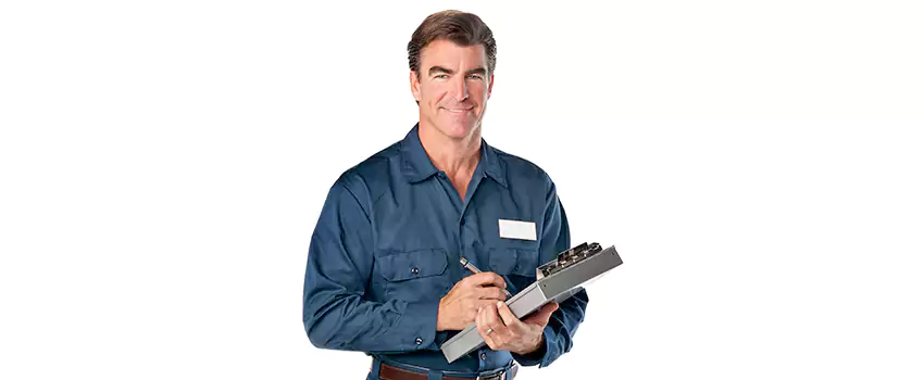 Wasp Control for Bedrooms Sachse, TX