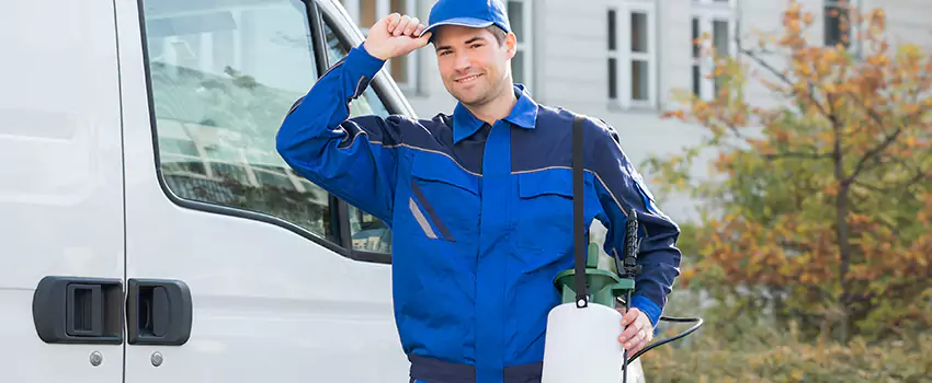 Whitefly Treatment for Bedrooms Sachse, TX