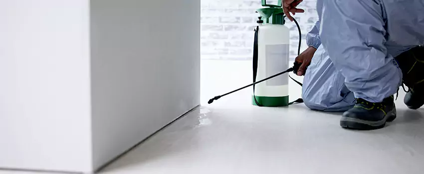 commercial-pest-control in Sachse, TX