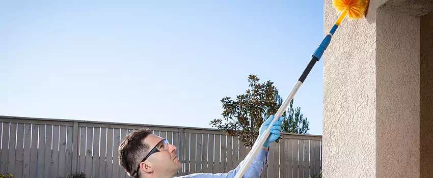 spider-exterminator in Sachse, TX
