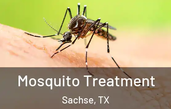  Mosquito Treatment Sachse, TX