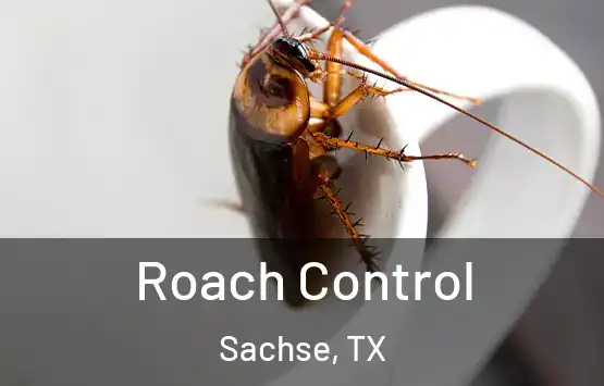  Roach Control Sachse, TX